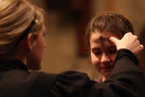 3317334437_cce780ec34_b