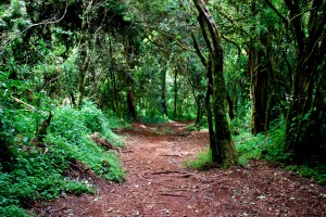 DSC_0190.JPG - Version 2